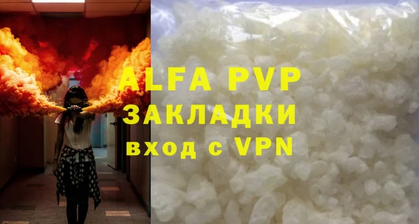 ГАЛЛЮЦИНОГЕННЫЕ ГРИБЫ Рославль
