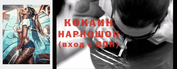 стафф Ростов