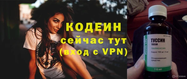 ГАЛЛЮЦИНОГЕННЫЕ ГРИБЫ Рославль
