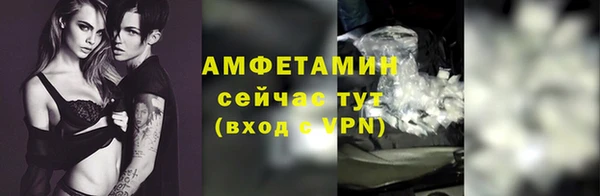 ГАЛЛЮЦИНОГЕННЫЕ ГРИБЫ Рославль