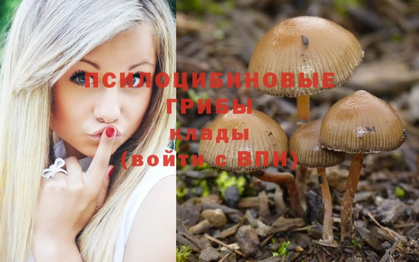 COCAINE Россошь