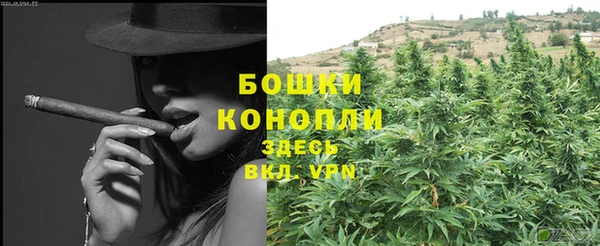 стафф Ростов