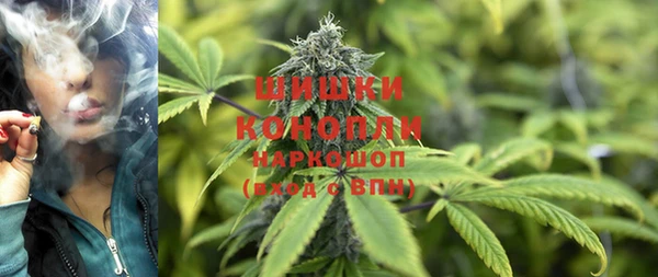ГАЛЛЮЦИНОГЕННЫЕ ГРИБЫ Рославль